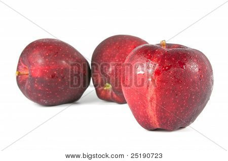 Fresh Red Apple