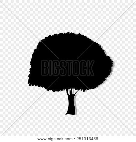 Black Silhouette Of Foliar Tree Icon Isolated On Transparent Background. Vector Illustration, Sign, 