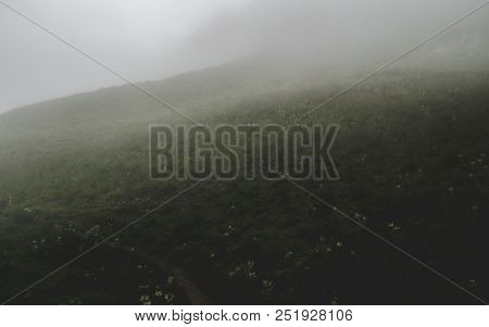 Scary Hiking Path In The Fog On Steep Mountain. Hiking Path Through Grass, Brienzer Rothorn Switzerl
