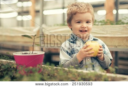 Great Result. Small Boy Happy Of Great Result. Great Result In Farming And Agriculture Cutivation. F