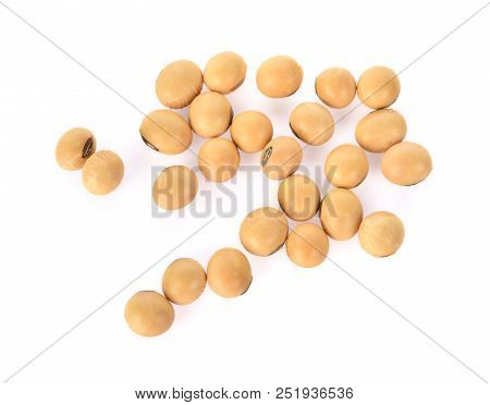 The Soybeans  Isolated On The White Backgrounds