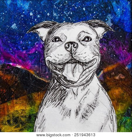 White Smiling Staffy Dog Drawing On Colourful Night Background. Original Artwork Mixed Media Collage