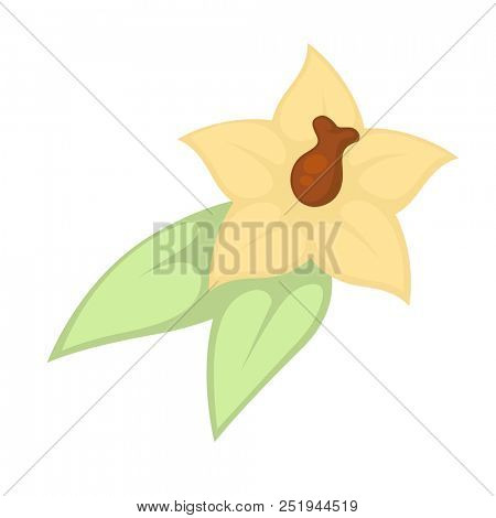 Small yellow flower
