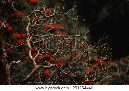 Branches Against The Background Of Blurred Red Flowers In The Forest