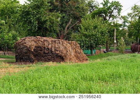 Rustic Landscape Of Big Pile Of Dung Kept In Back Yard Or Garden