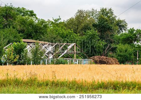 Rustic Landscape Of Big Pile Of Dung Kept In Back Yard Or Garden