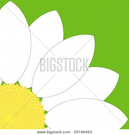 White Flower Quarter