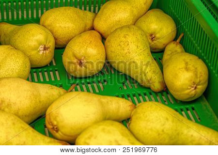 Pears On The Counter