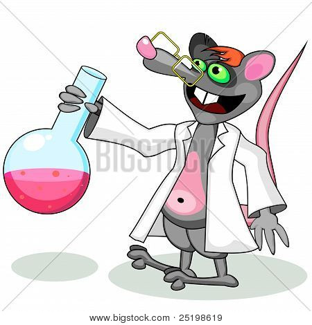 Lab szczur