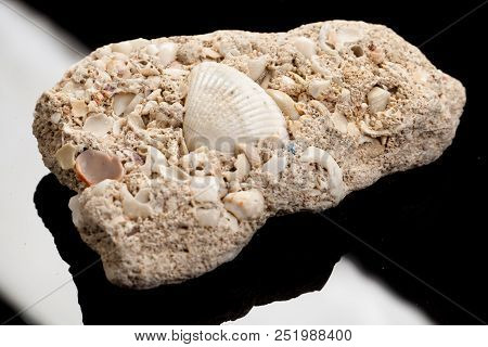 Piece Of Stone On A Studio Background