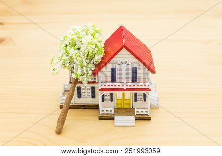 Fallen Tree Home Insurance Concept. Falling Trees On Front Home Or House For Insurance Concept Or Di
