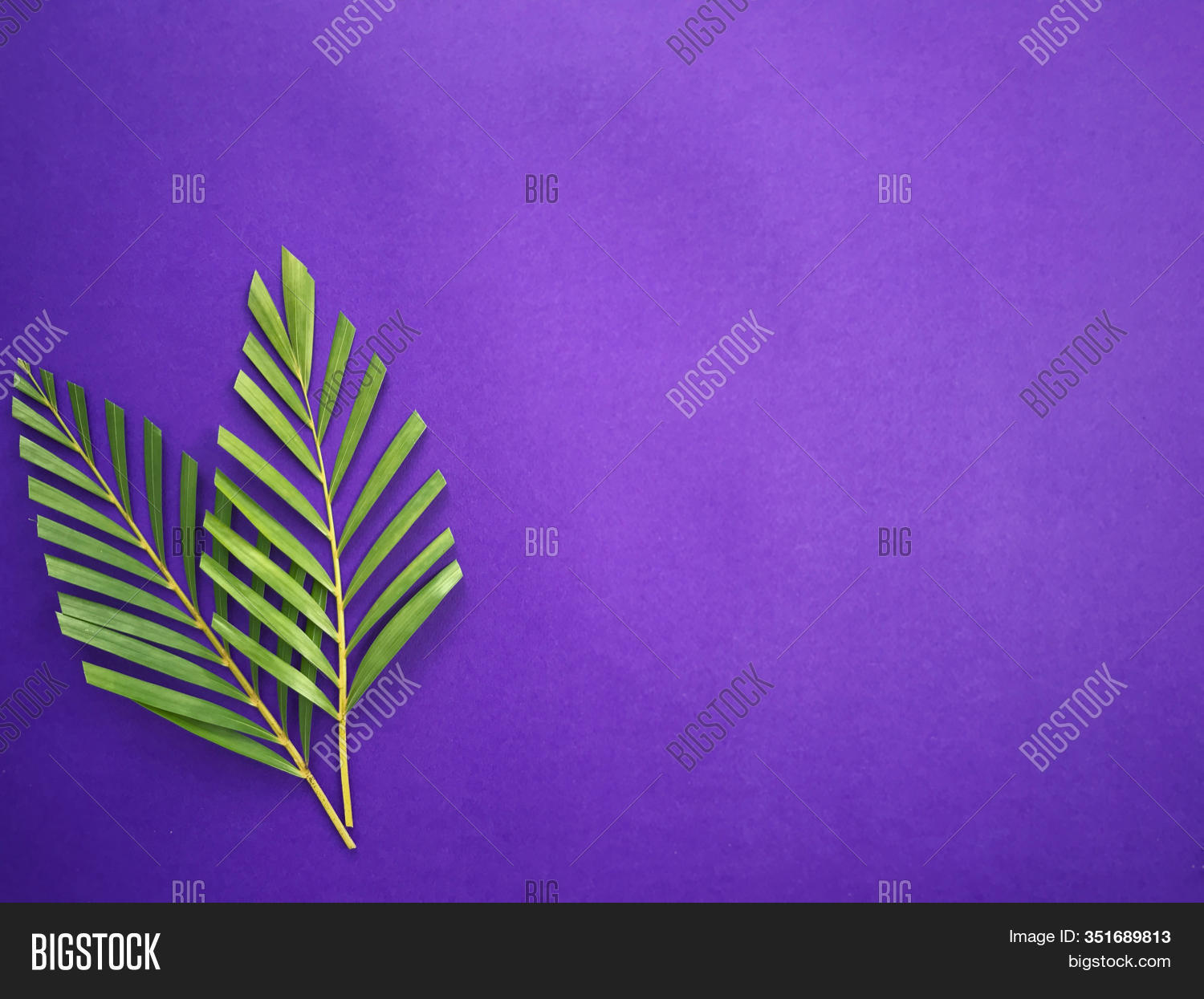 Good Friday, Palm Image &amp; Photo (Free Trial) | Bigstock