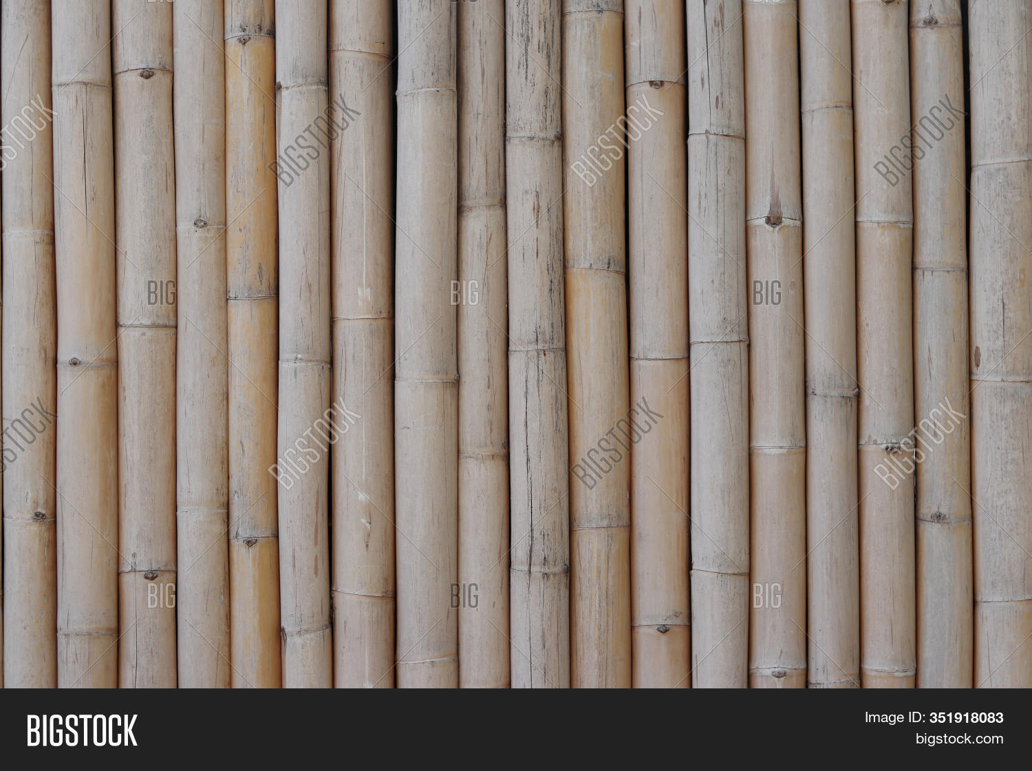 Dry Brown Bamboo Image & Photo (Free Trial) | Bigstock