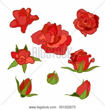 Vector colorful set with flowers. Red rose. Clip-art elements for postcard, banner, t-shirt print, invitation, greeting card, poster