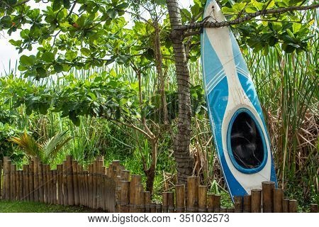 A Canoe (kaiak) Hanging On A Tree, Adorned With Christmas Lights, With A Bamboo Fence On The Front