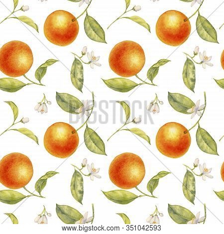 Watercolor Semless Pattern With Drawing Branches Of Orange Tree With Flowers, Leaves And Oranges At 