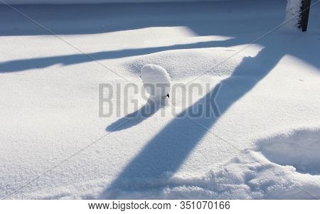 Snow-covered Stump. Winter Snow At The End Of February.