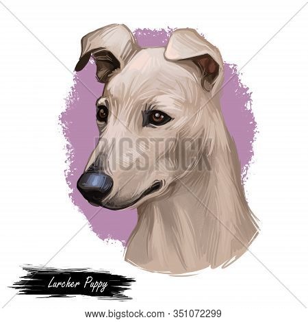 Lurcher Dog, Offspring Of Sighthound Mated With Pastoral Breed Or Terrier, Digital Art Illustration 
