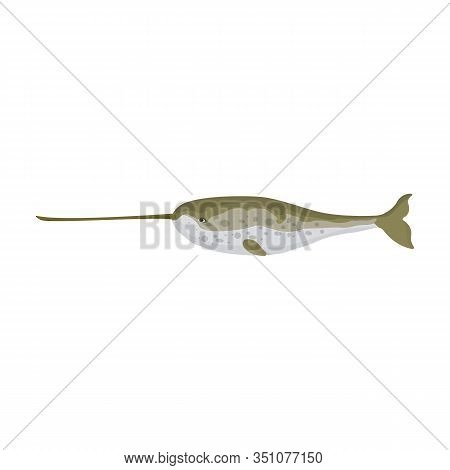 Narwhal Whale Vector Icon.cartoon Vector Icon Isolated On White Background Narwhal Whale.