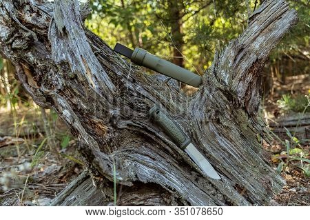 Scandinavian Knife On An Old Stump. Knife And Case.
