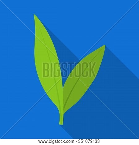Leaves Of Sugarcane Vector Icon.flat Vector Icon Isolated On White Background Leaves Of Sugarcane .