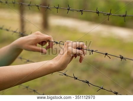Barbed Wire Border. Hands And Barbed Wire Closeup.