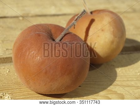 Two Rotten Apples On Image & Photo (Free Trial) | Bigstock