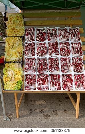Red Chicory Called Radicchio Tardivo In Italian Language For Sale At Market In Northern Italy In Win