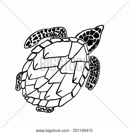 Vector Image Of A Big Turtle. Coloring Book For Children And Adults.