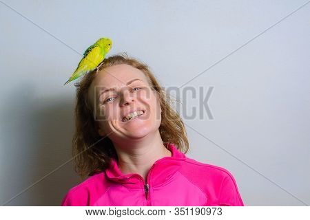 Funny Budgie. A Cute Yellow Budgie Parrot Is Sitting On The Girl Head. Tamed Pet