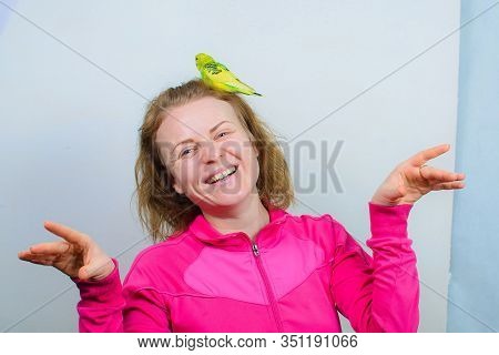 Funny Budgie. A Cute Yellow Budgie Parrot Is Sitting On The Girl Head. Tamed Pet
