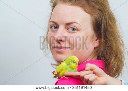 Funny Budgie. A Cute Yellow Budgie Parrot Is Sitting On The Girl S Shoulder. Tamed Pet