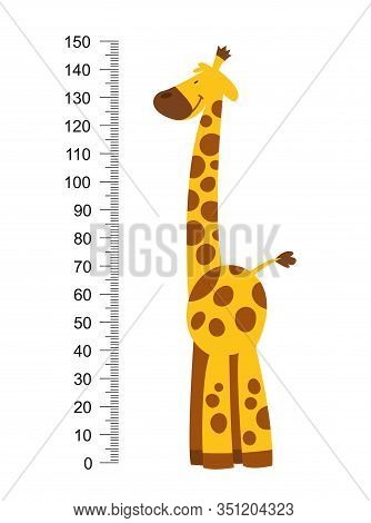 Cheerful Funny Giraffe With Long Neck. Height Meter Or Meter Wall Or Wall Sticker From 0 To 150 Cent