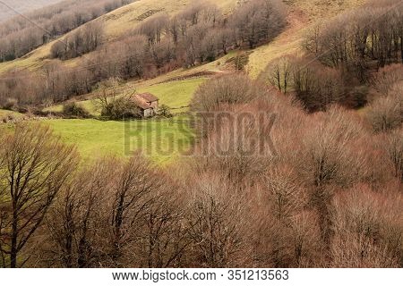 Photograph Of An Abandoned House Surrounded By Leafless Trees In Autumn