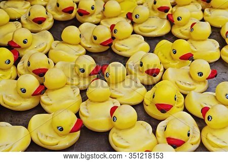 Group Of Yellow Rubber Ducks Closeup View. Rubber Duck Race Is Type Of Fundraising Event Where Thous