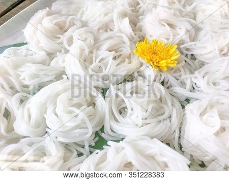 Kanom Jeen Noodle Is Popular Asia Thai Noodle Eat With Specific Spicy Curry Sauce.
