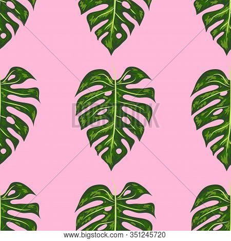 Tropical Pattern. Seamless Texture With Bright Hand Drawn Leaves Of Monstera.