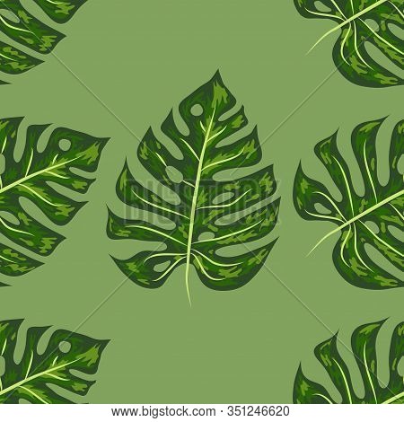 Tropical Pattern. Seamless Texture With Bright Hand Drawn Leaves Of Monstera.