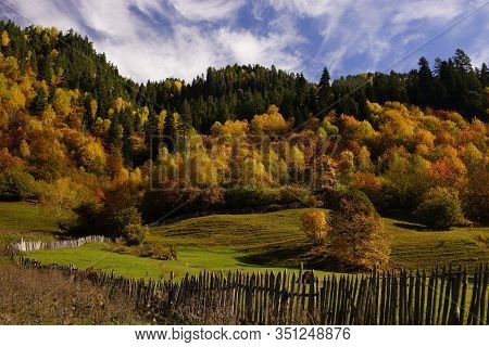 Beautiful View Of Green Valley, Hills With Colorful Forest With Autumn Leaves On Trees, Wooden Fency