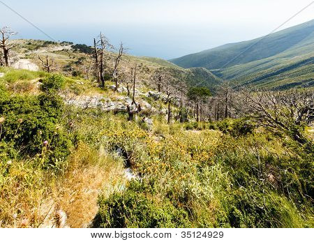 Estate Passo Llogara (albania)