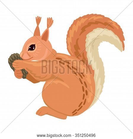 Squirrel Holding A Pinecone. Vector Cartoon Illustration