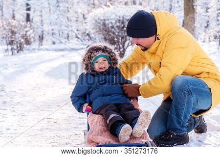 Father Helping Toddler Child To Sit Comfortably In Sledge On Snow Road Outdoors. Dad And Son Prepari