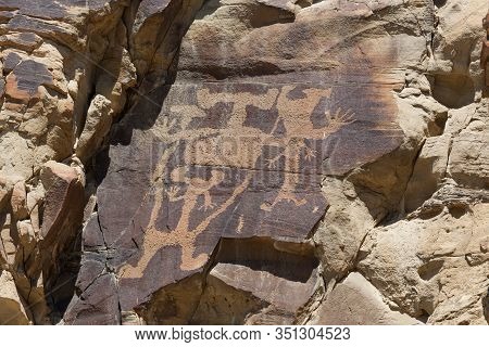 Strange Shapes And Figures That Have Been Carved Into The Ancient Sandstone Rocks At Legend Rock Sta