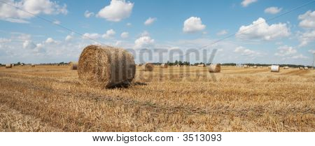 Haycock. Koniec lata
