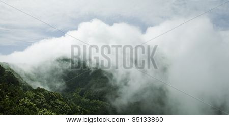Landscape In National Park Anaga