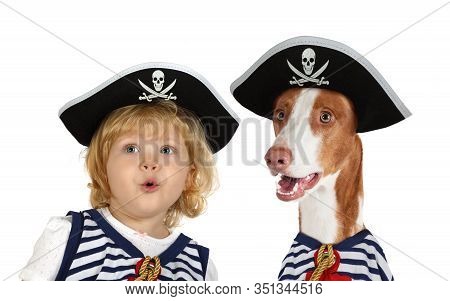 Portrait Of A Funny Little Girl In A Pirate Hat And Ibizan Hound (podenco Ibicenco) Dog In The Studi