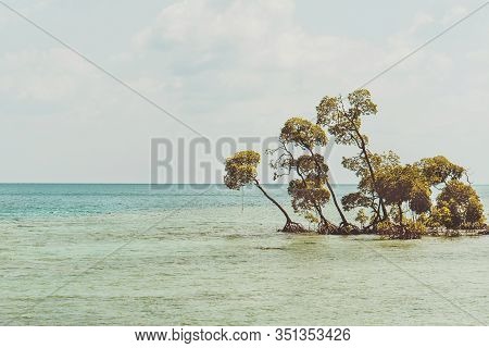 Tropical Beach With White Sand, Yuccas And Coconut Trees. Located In Northern Part Of The Habaraduwa