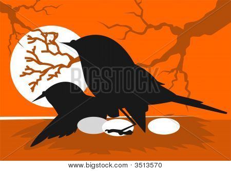 Uccelli