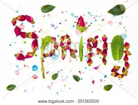 Dry Flowers On Acrylic Abstract  Painted Background. Spring Concept. Colorful Spring Sign. Word Spri