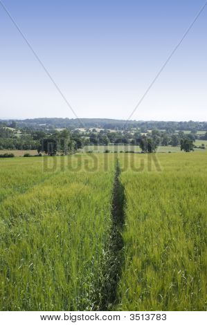 Terras agrícolas